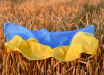 Ukraynanın taxıl ixracı 5 milyon tonu ötüb