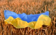 Ukraynanın taxıl ixracı apreldə 5 milyon tonu ötüb